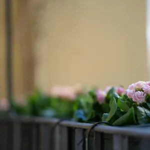 Pgrhome Croce Appartamento Roma